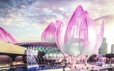 Những dự án 