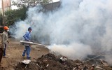Hà Nội: Bộ trưởng Bộ Y tế thị sát công tác phòng sốt xuất huyết ở công trường xây dựng, trường học