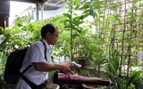 Lãnh đạo thành phố Hà Nội thăm hỏi bệnh nhân sốt xuất huyết