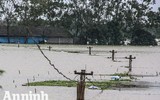 Xúc động hình ảnh những chiến sỹ Công an Hà Nội ở 