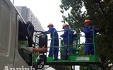 Hà Nội: Mời người dân cùng giám sát việc đánh chuyển 1.159 cây xanh trên đường Phạm Văn Đồng