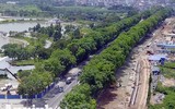 Hà Nội: Mời người dân cùng giám sát việc đánh chuyển 1.159 cây xanh trên đường Phạm Văn Đồng