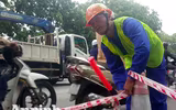 Hà Nội: Mời người dân cùng giám sát việc đánh chuyển 1.159 cây xanh trên đường Phạm Văn Đồng