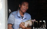 Những hình ảnh ấm áp tình quân dân ở vùng ngập Hà Nội