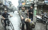 Những khoảnh khắc lắng đọng sớm mùng Một Tết