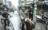 Những khoảnh khắc lắng đọng sớm mùng Một Tết