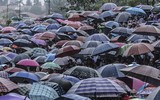Thử thách lòng gan dạ, tranh tài ở Giải đua ngựa Bắc Hà 2018