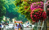 [ẢNH] Ngỡ ngàng với bản giao hưởng màu sắc của các loài hoa bên hồ Gươm