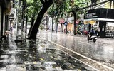 [ẢNH] Hà Nội: Mưa lớn, nhiều cây xanh bật gốc