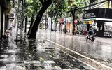 [ẢNH] Hà Nội: Mưa lớn, nhiều cây xanh bật gốc