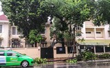 [ẢNH] Hà Nội: Mưa lớn, nhiều cây xanh bật gốc