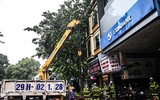 [ẢNH] Hà Nội: Mưa lớn, nhiều cây xanh bật gốc