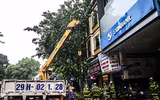 [ẢNH] Hà Nội: Mưa lớn, nhiều cây xanh bật gốc