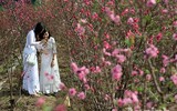 [ẢNH] Những khoảnh khắc xuân đậm chất xuân chỉ Hà Nội mới có