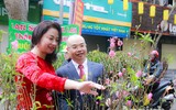 [ẢNH] Những khoảnh khắc xuân đậm chất xuân chỉ Hà Nội mới có