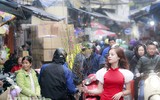 [ẢNH] Những khoảnh khắc xuân đậm chất xuân chỉ Hà Nội mới có