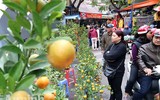 [ẢNH] Những khoảnh khắc xuân đậm chất xuân chỉ Hà Nội mới có