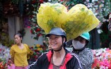 [ẢNH] Những khoảnh khắc xuân đậm chất xuân chỉ Hà Nội mới có