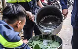 Những chiếc bánh chưng được gói bởi bàn tay thô ráp của chiến sỹ PCCC Thủ đô