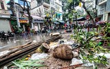 [ẢNH] Trời mưa, tiểu thương vứt bỏ đào quất, đường phố ngập xác hoa...