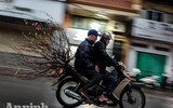 [ẢNH] Trời mưa, tiểu thương vứt bỏ đào quất, đường phố ngập xác hoa...