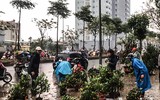 [ẢNH] Trời mưa, tiểu thương vứt bỏ đào quất, đường phố ngập xác hoa...
