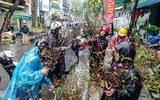 [ẢNH] Trời mưa, tiểu thương vứt bỏ đào quất, đường phố ngập xác hoa...