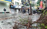 [ẢNH] Trời mưa, tiểu thương vứt bỏ đào quất, đường phố ngập xác hoa...