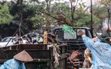 [ẢNH] Trời mưa, tiểu thương vứt bỏ đào quất, đường phố ngập xác hoa...