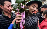 [ẢNH] Những hình ảnh đặc biệt ấn tượng tại Ngày hội tòng quân 2020 ở Hà Nội