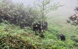[ẢNH] Xúc động chuyện những người lính căng mình trước sương gió biên cương ngăn dịch Covid -19