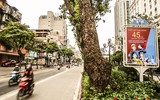 Hình ảnh ấn tượng sáng 30-4, kỷ niệm 45 năm thống nhất đất nước ở Hà Nội