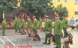 Chuyện ít biết về những 