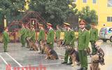 Chuyện ít biết về những 
