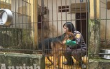 Chuyện ít biết về những 
