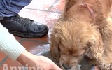 Chuyện ít biết về những 