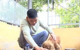 Chuyện ít biết về những 