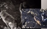 Chuyện ít biết về những 