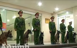Chuyện ít biết về những 