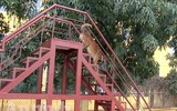 Chuyện ít biết về những 