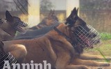 Chuyện ít biết về những 