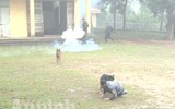 Chuyện ít biết về những 