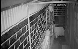 [Ảnh] Trộm cướp manh động vào nhà: Cách ứng phó bảo toàn mạng sống