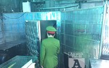 [Ảnh] Cảnh sát 