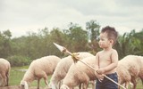 Ngỡ ngàng trước hình ảnh 