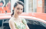 Phan Hải 
