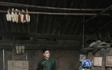 Ngỡ ngàng với bộ ảnh thời trang có một không hai của NTK Vũ Việt Hà