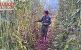 Khám phá cuộc sống bình dị mà thú vị của các chiến sĩ Đồn biên phòng Mù Cả