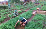 Khám phá cuộc sống bình dị mà thú vị của các chiến sĩ Đồn biên phòng Mù Cả