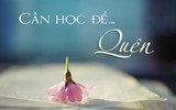 Khám phá bí quyết 